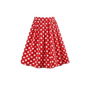 BNWT Taydey A-Line Pleated Vintage Skirts